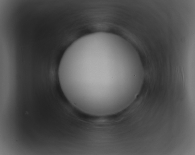 X0000101460460200807071136