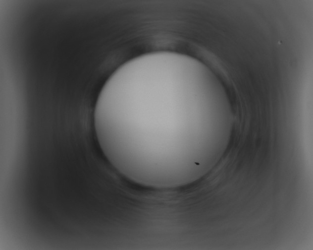 X0000101460462200807071136