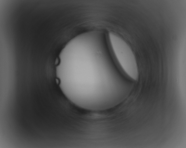 X0000101460464200807071136