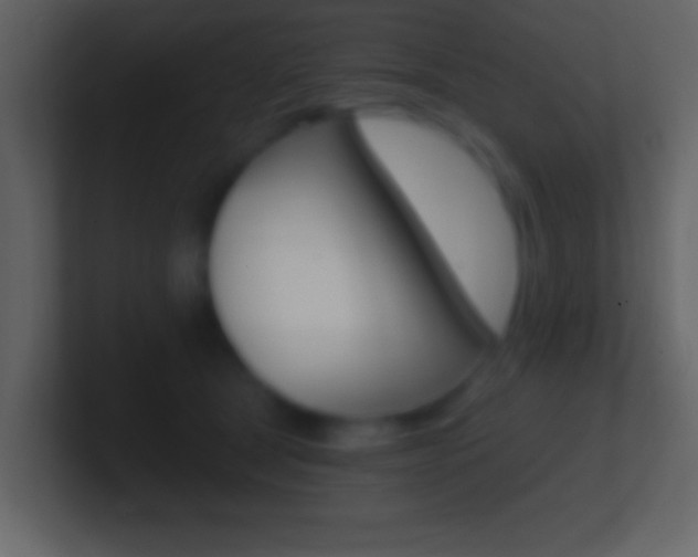 X0000101460465200807071136