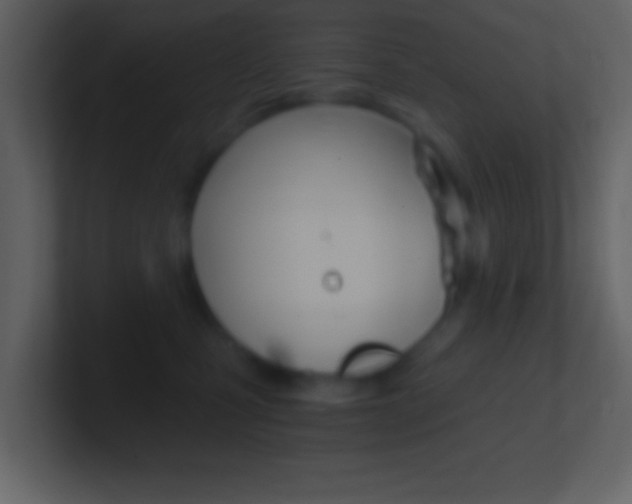 X0000101460471200807071136
