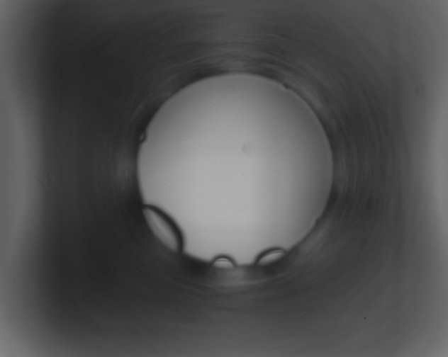 X0000101460473200807071136