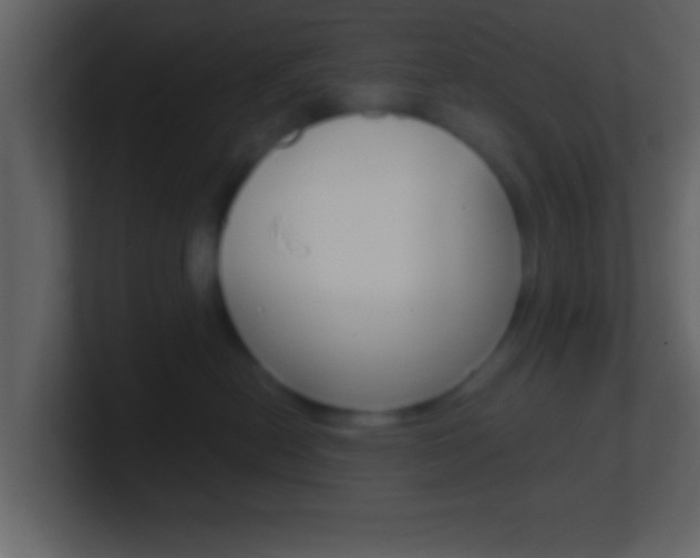 X0000101460478200807071136