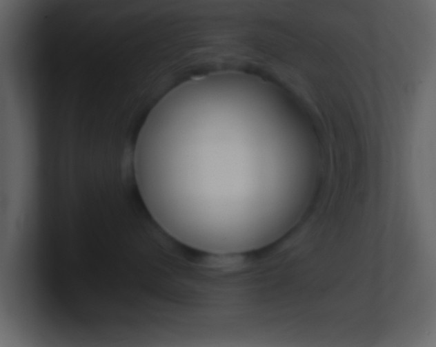 X0000101460480200807071136