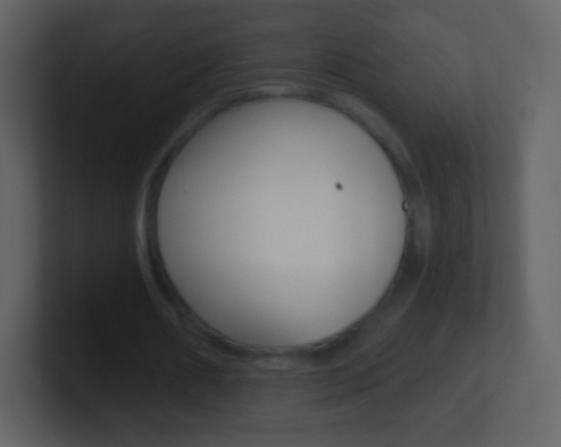X0000101460482200807071135