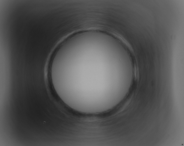 X0000101460483200807071135