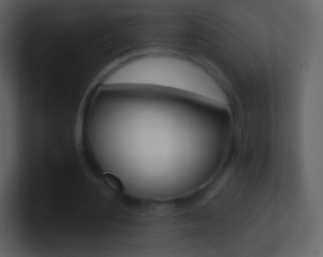 X0000101460484200807071135