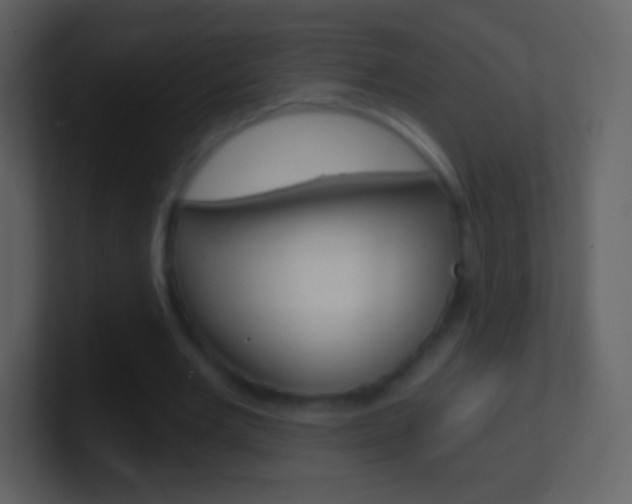 X0000101460485200807071135