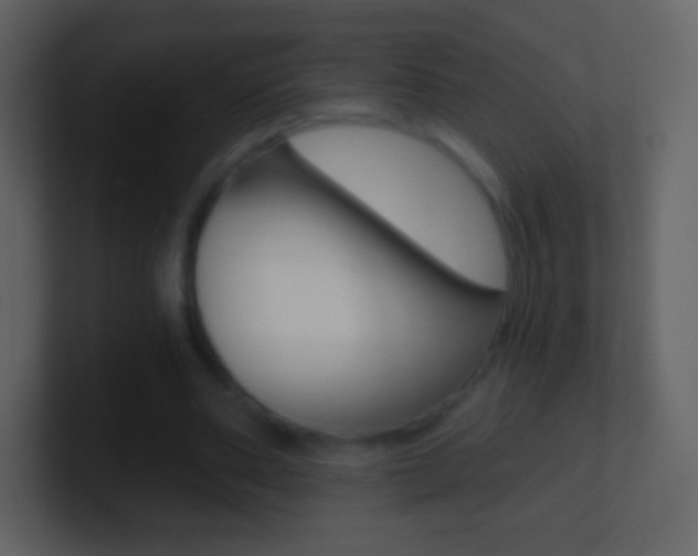 X0000101460486200807071135