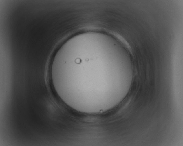 X0000101460487200807071135