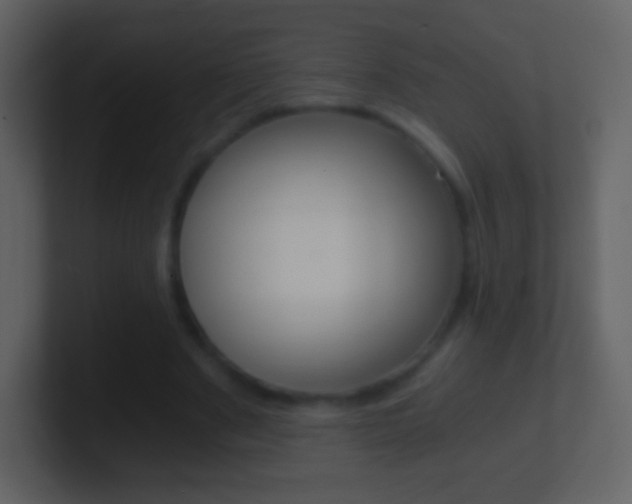 X0000101460489200807071135