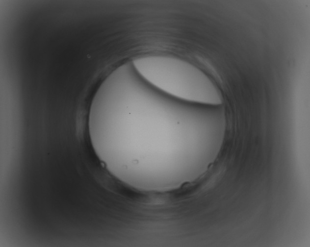 X0000101460495200807071135