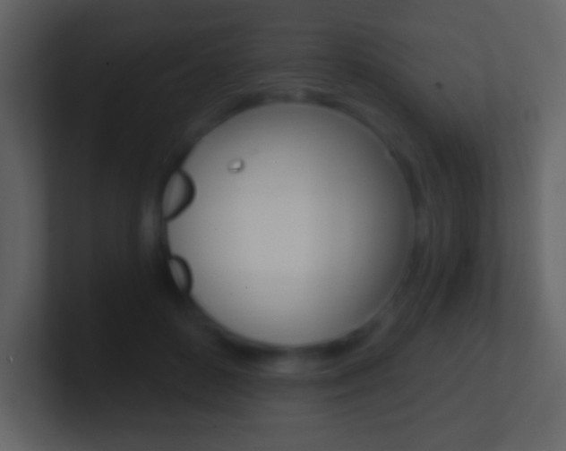 X0000101460504200807071135