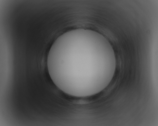 X0000101460506200807071135
