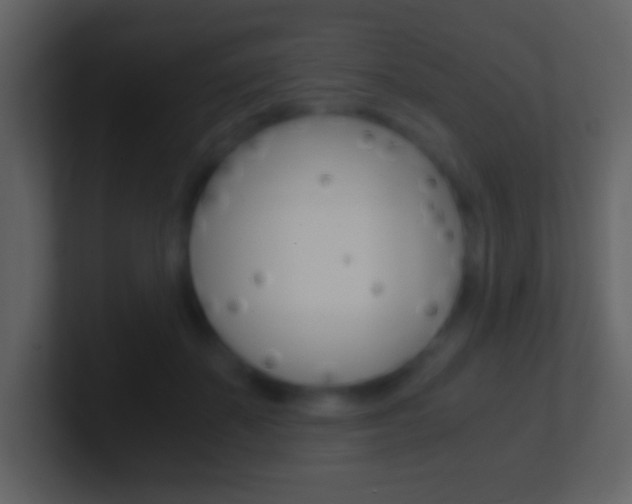 X0000101460507200807071135