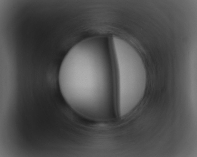 X0000101460509200807071135