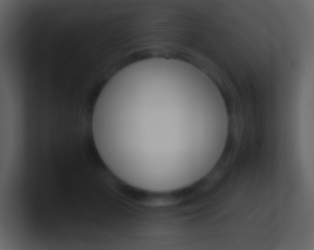 X0000101460510200807071135