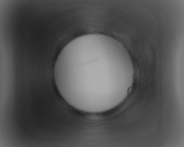 X0000101460511200807071135