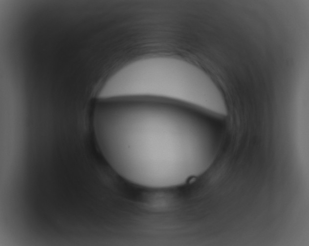 X0000101460512200807071135