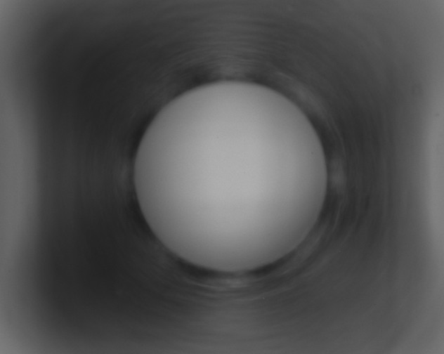 X0000101460514200807071135