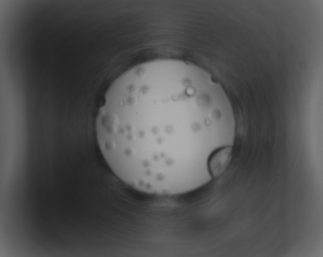 X0000101460519200807071135