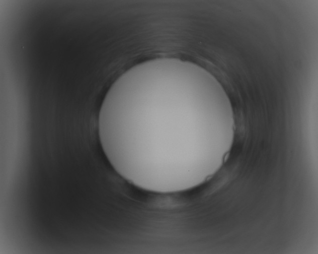 X0000101460523200807071135