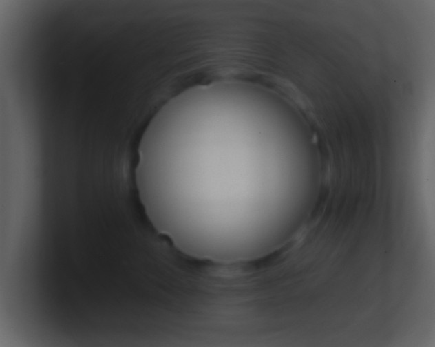 X0000101460524200807071135