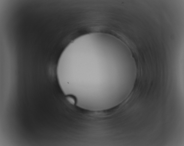 X0000101460525200807071135