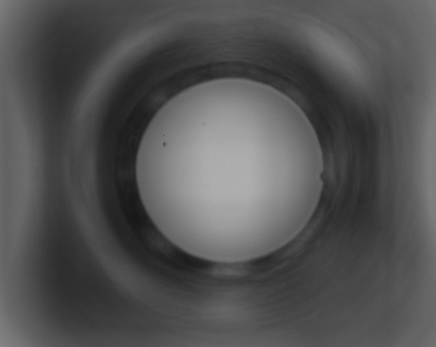 X0000101460526200807071135