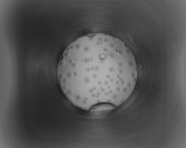 X0000101460527200807071135