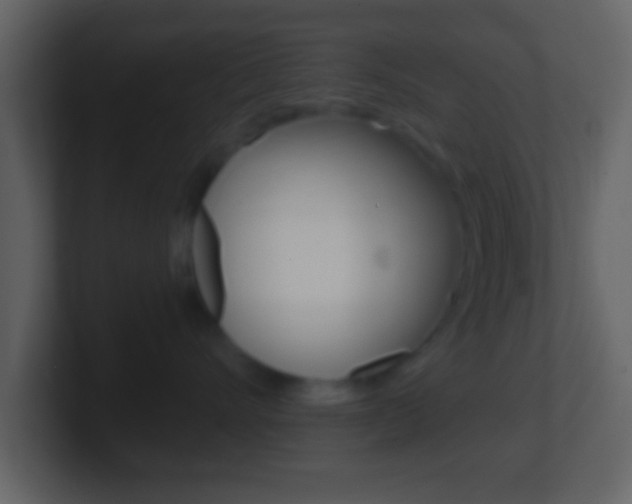 X0000101460528200807071135