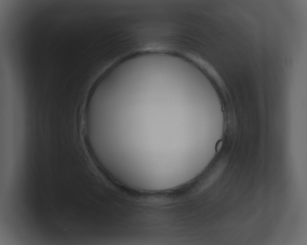 X0000101460529200807071134