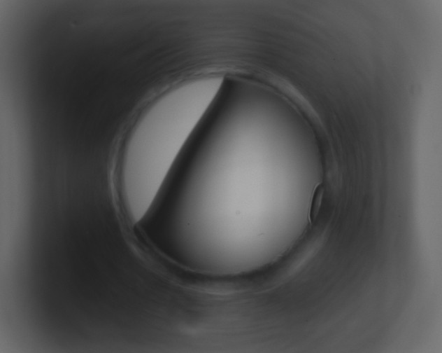 X0000101460530200807071134