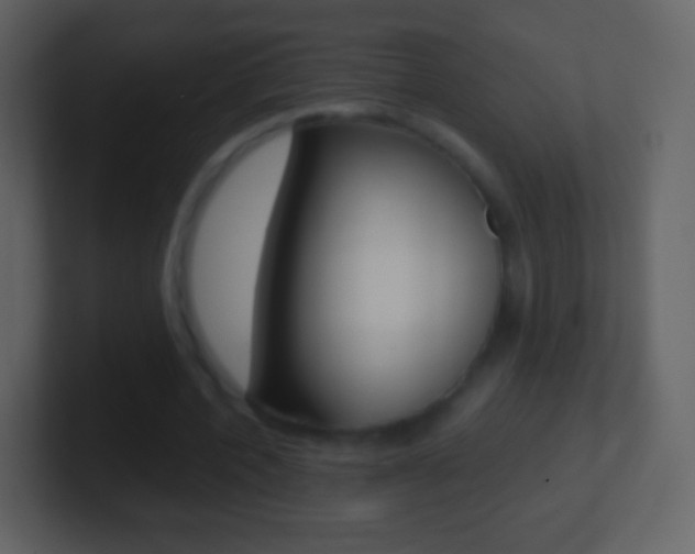 X0000101460532200807071134