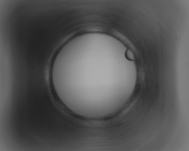 X0000101460533200807071134