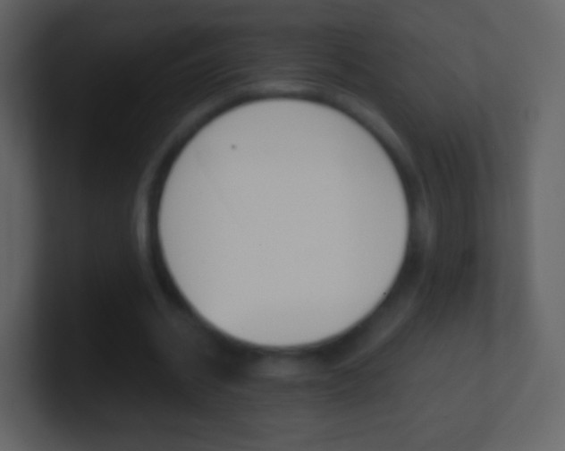 X0000101460534200807071134