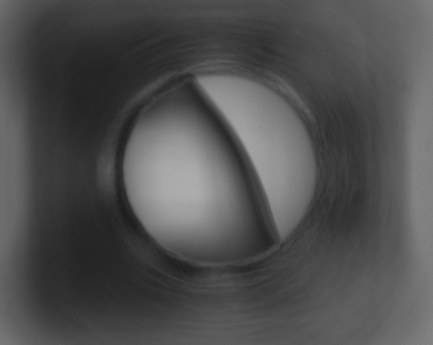 X0000101460535200807071134