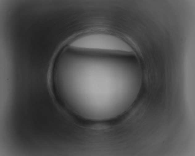 X0000101460536200807071134