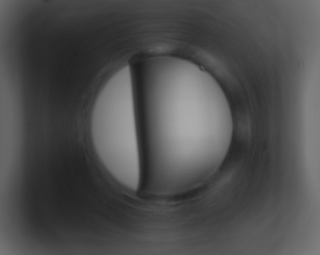 X0000101460543200807071134