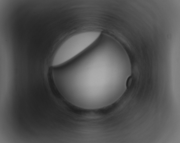 X0000101460544200807071134