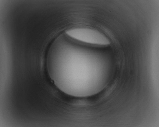 X0000101460548200807071134