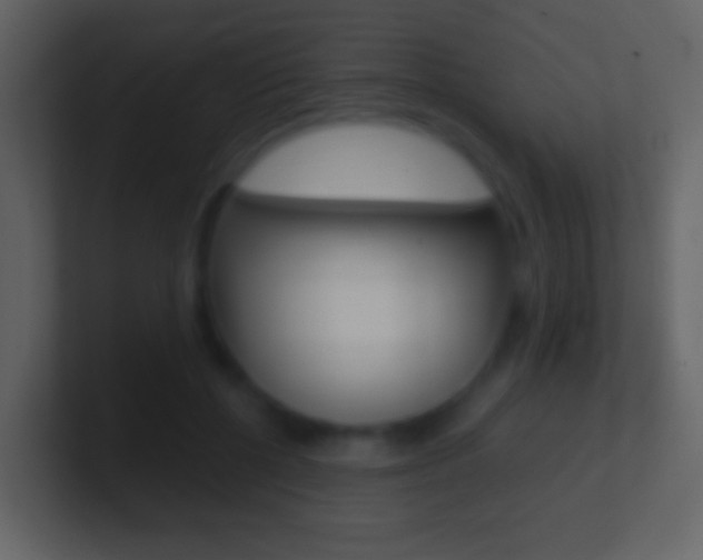 X0000101460552200807071134