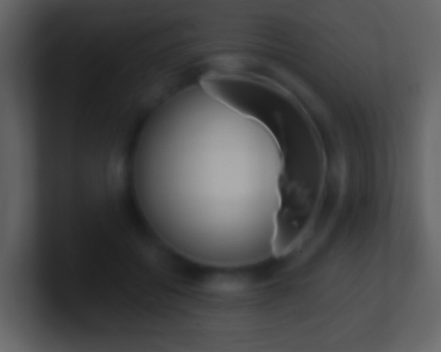X0000101460556200807071134