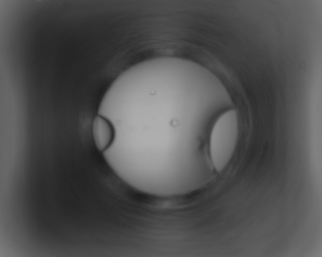 X0000101460557200807071134