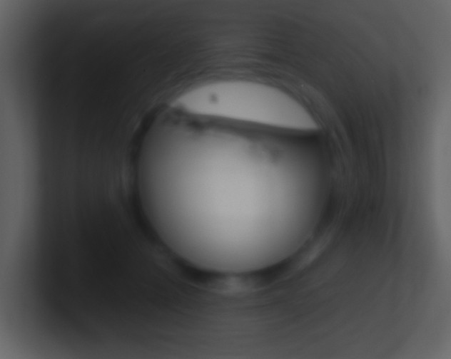 X0000101460558200807071134