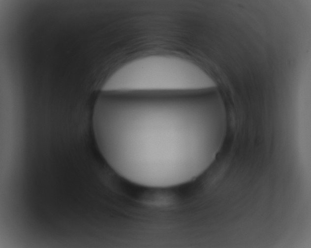 X0000101460559200807071134