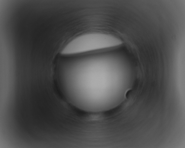 X0000101460560200807071134