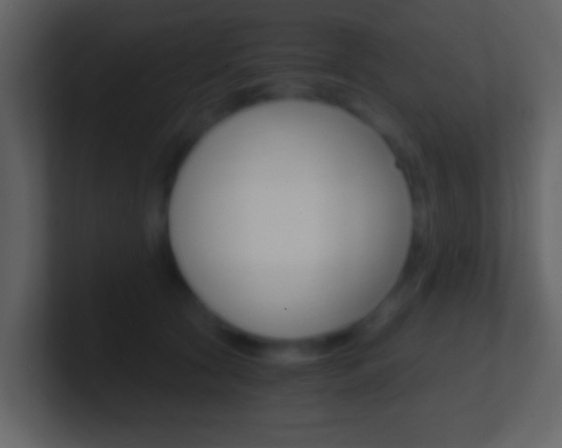 X0000101460561200807071134