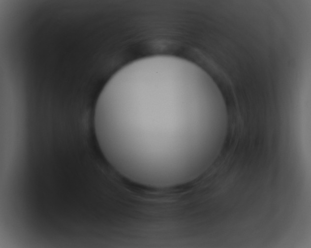 X0000101460563200807071135