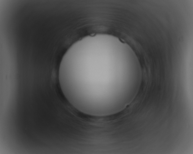 X0000101460564200807071135